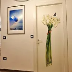 Nuovo Vacanze - Cir 0339