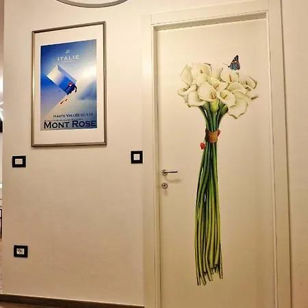 Nuovo Vacanze - Cir 0339